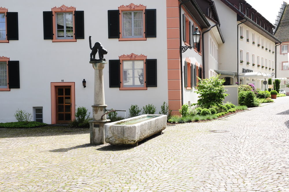 Hotel Goldener Knopf Bad Säckingen Exteriér fotografie